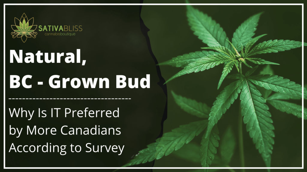 BC-Grown Bud: Why Canadians Prefer It Over the Others According to a Survey