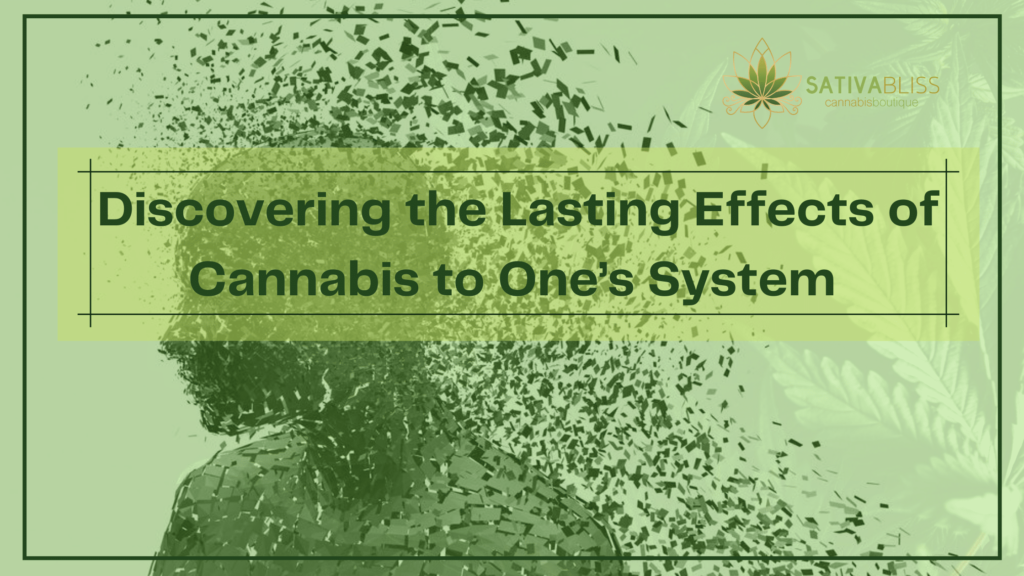 Discovering the Lasting Effects of Cannabis to One’s System