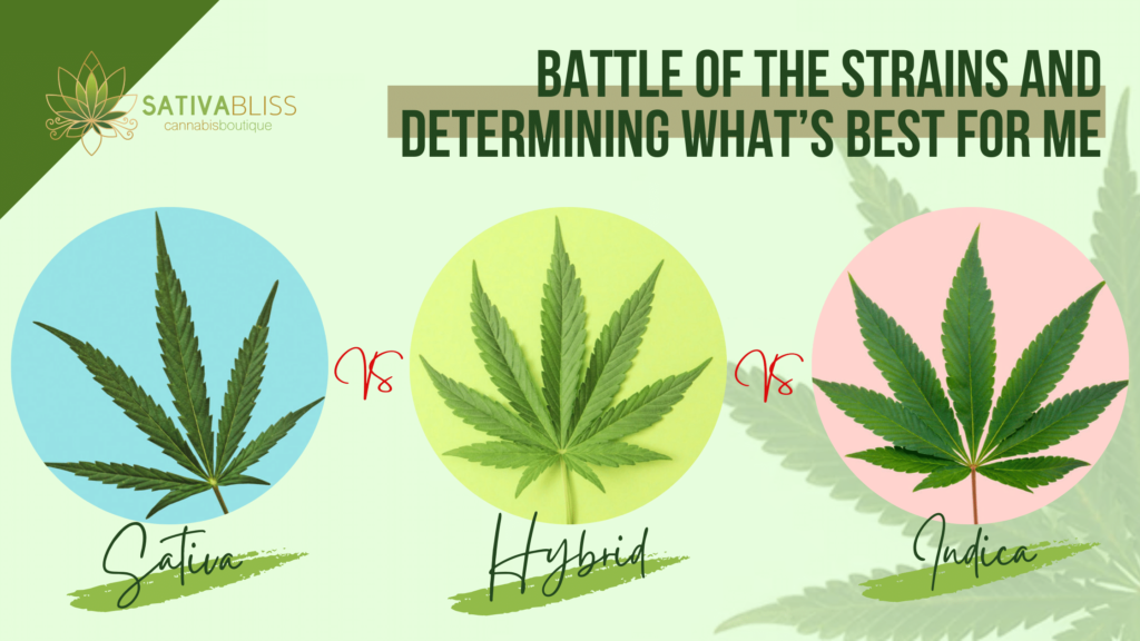 Sativa Vs. Indica Vs. Hybrid: Battle of the Strains and Determining What’s Best for Me