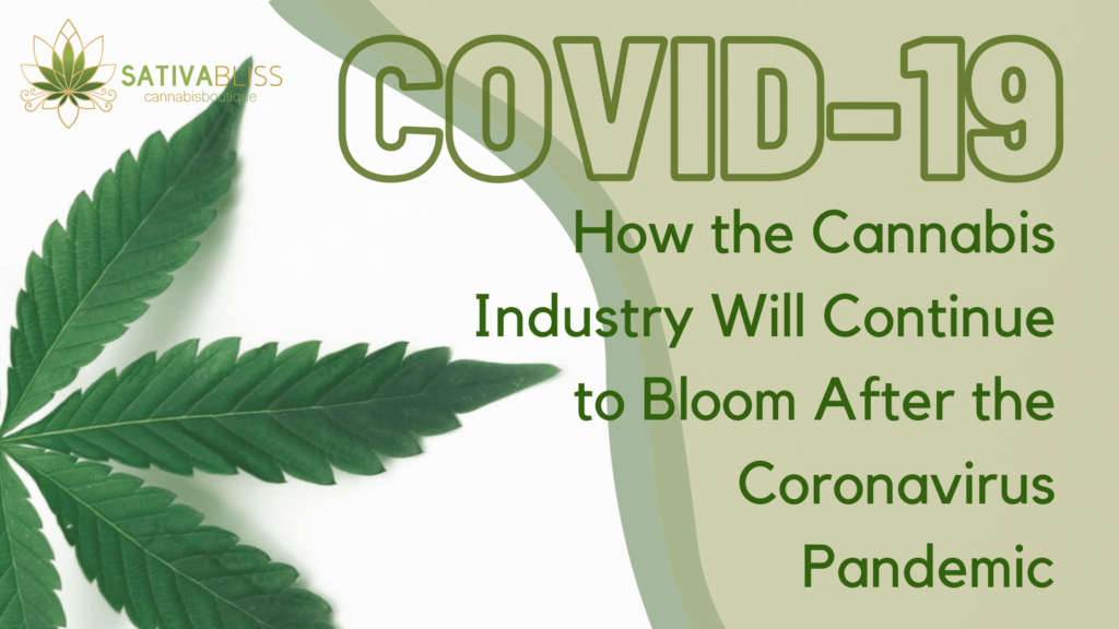 How the Cannabis Industry Will Continue to Bloom After the Coronavirus Pandemic