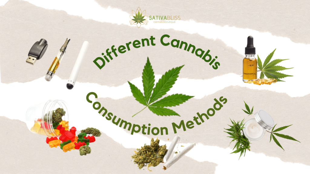 Sativa Bliss Shares the Different Cannabis Consumption Methods Anyone Can Try