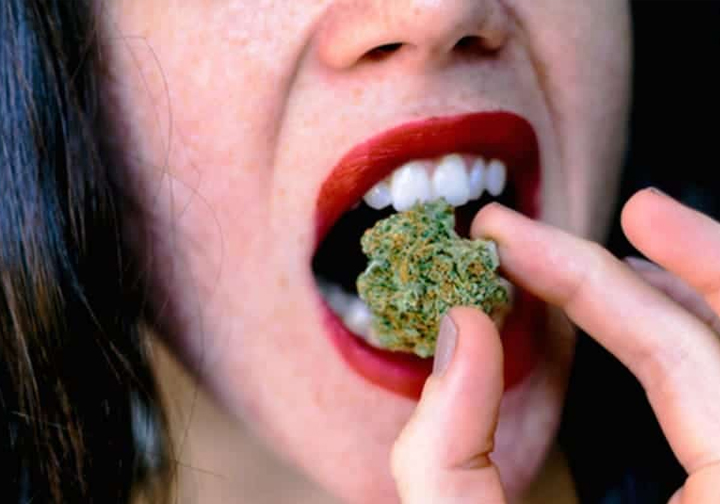 Did You Know? Eating Raw Weed Doesn't Get You High