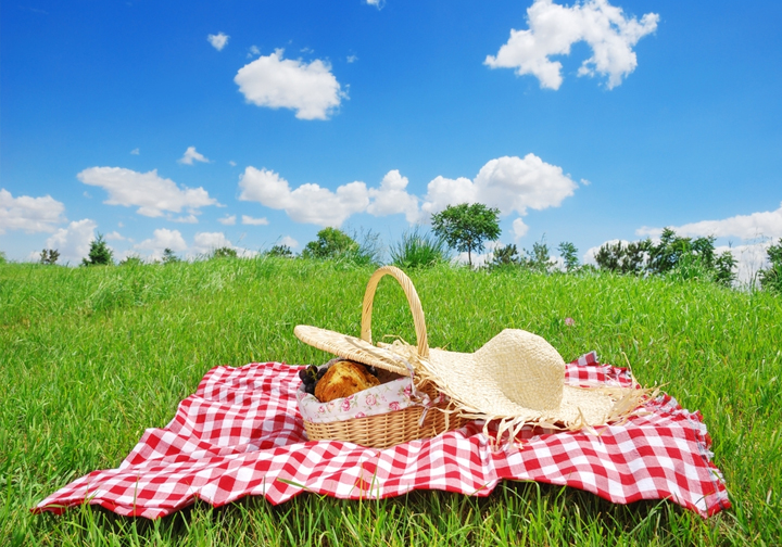 How to Plan a Summer Picnic for Stoners