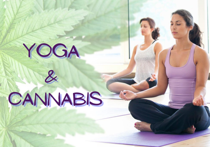 Marijuana and Asana: Find Out Why Weed Yoga Classes Are Trending