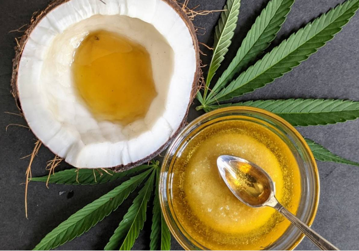 Coconut Oil for Cannabis Infusion: Know the Uses, Benefits, and How to Make It