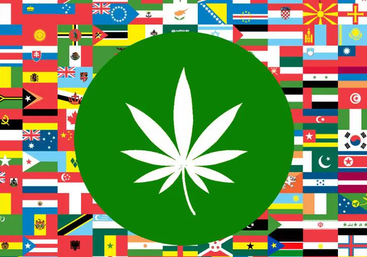 Which Nations Have the Highest Rates of Marijuana Use?