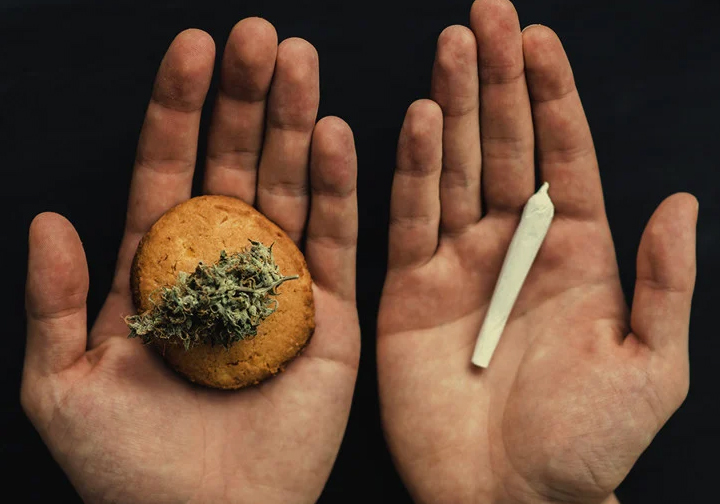 Which is Better? Eating or Smoking Cannabis?