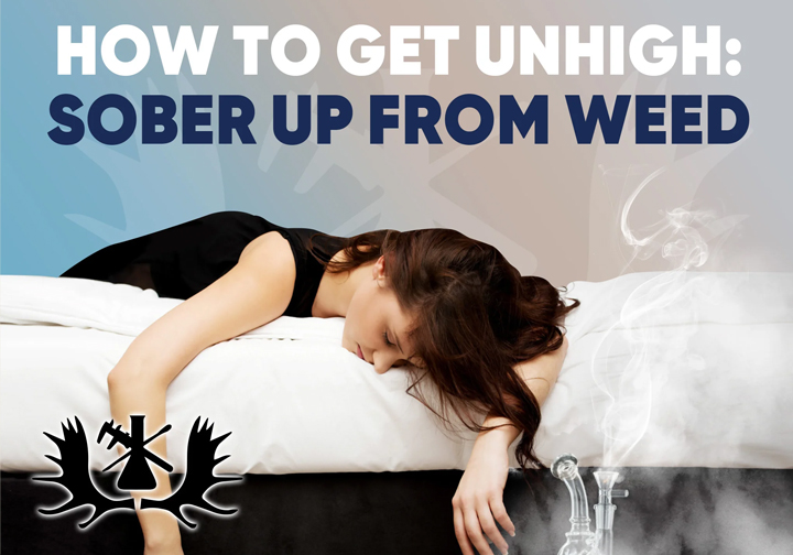 Tips on How to Sober Up from Being High