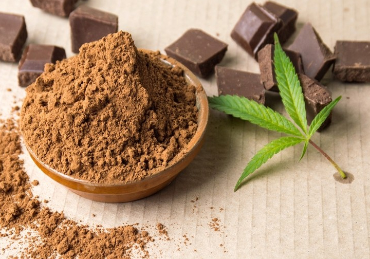 Want to Have a Taste of the Best Cannabis Chocolate?