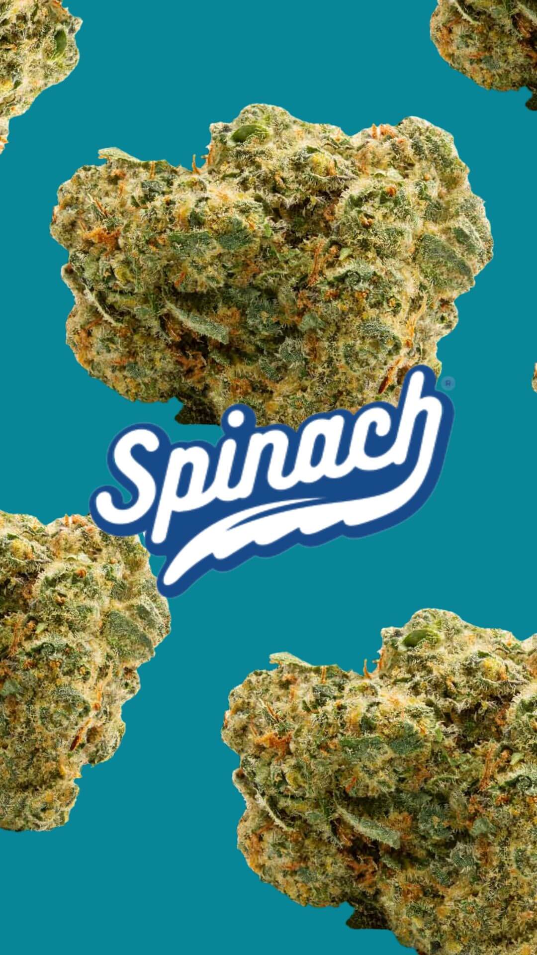 spinach